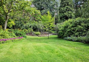 Optimiser l'expérience du jardin à Silly-sur-Nied